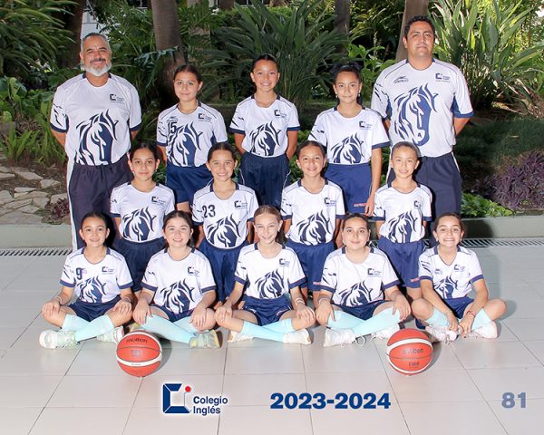 2024.BASKETBALL 2013-2014 - Image 2
